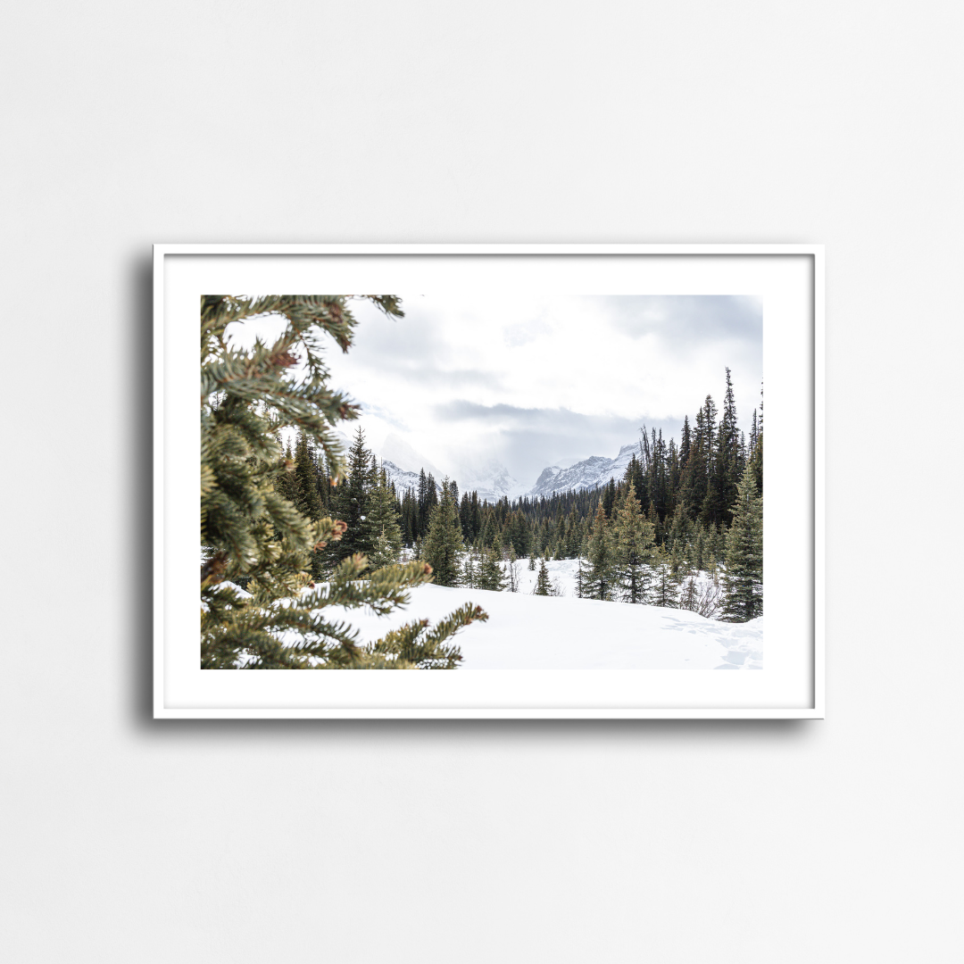 The Watchful Pines