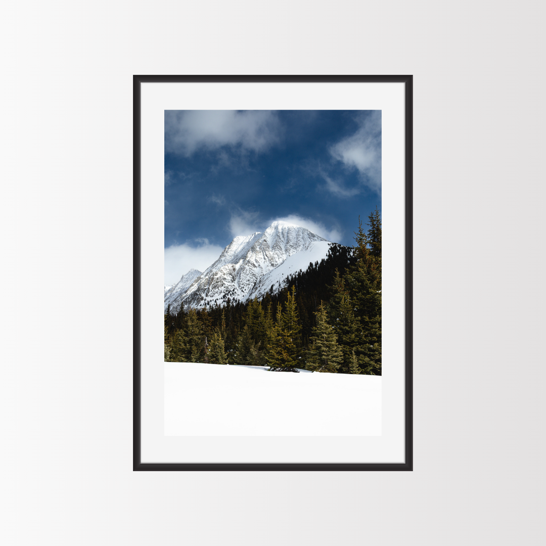 Winter Scape
