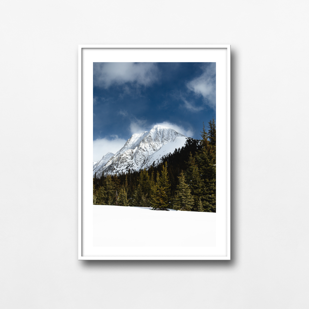 Winter Scape