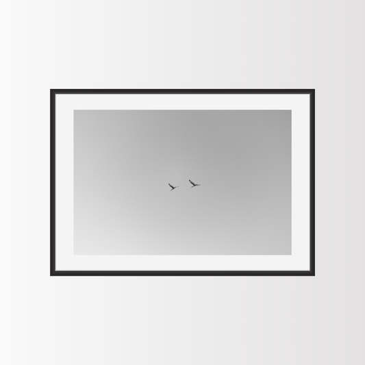 Always flying together