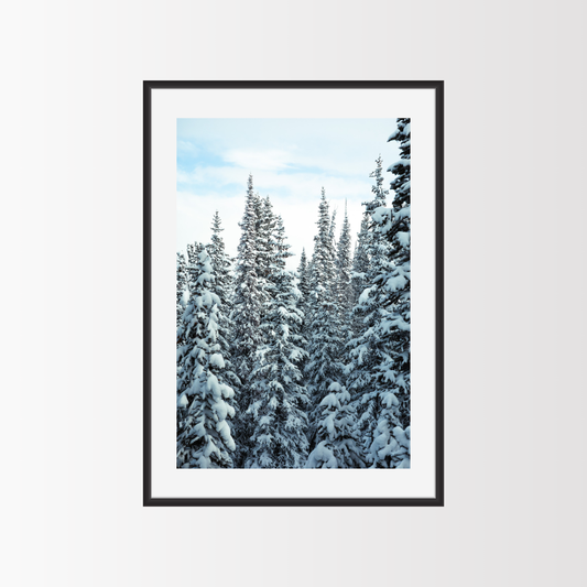 Snomy trees