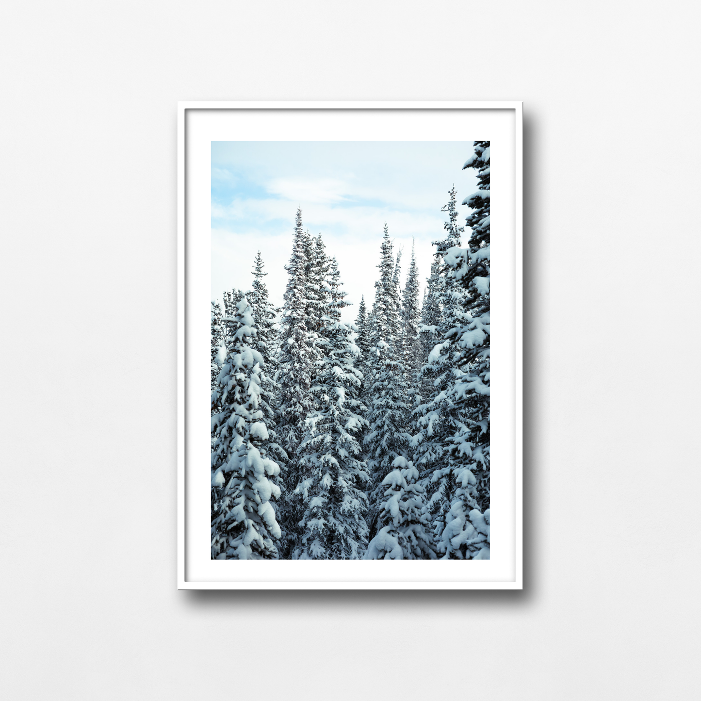 Snomy trees