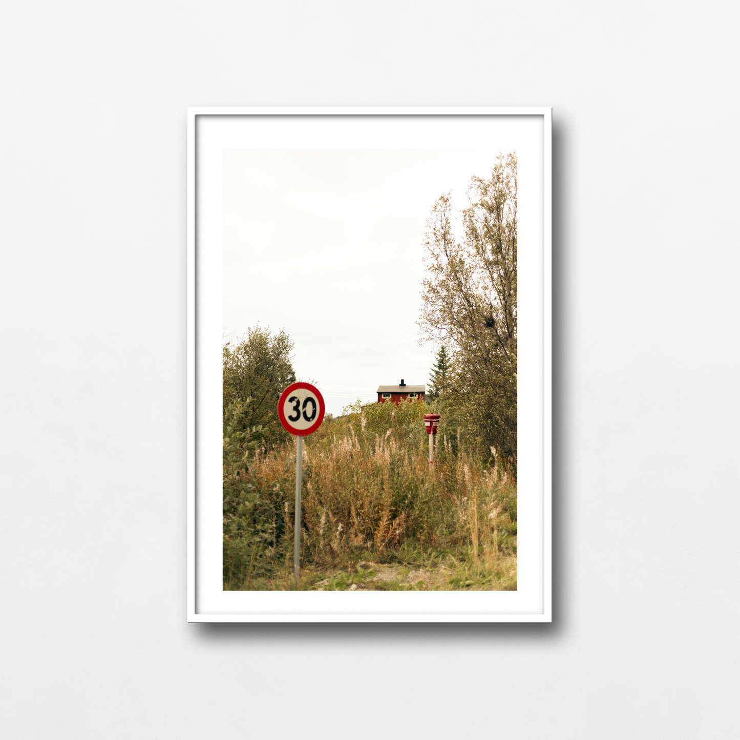 Reds of Lofoten