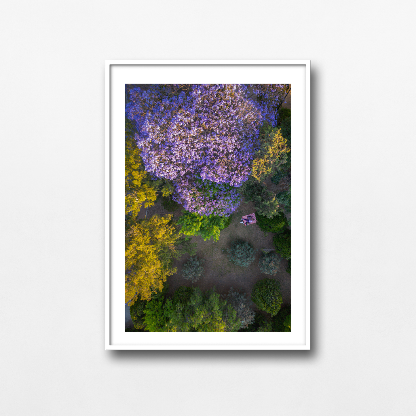 Picnic bajo las Jacarandas