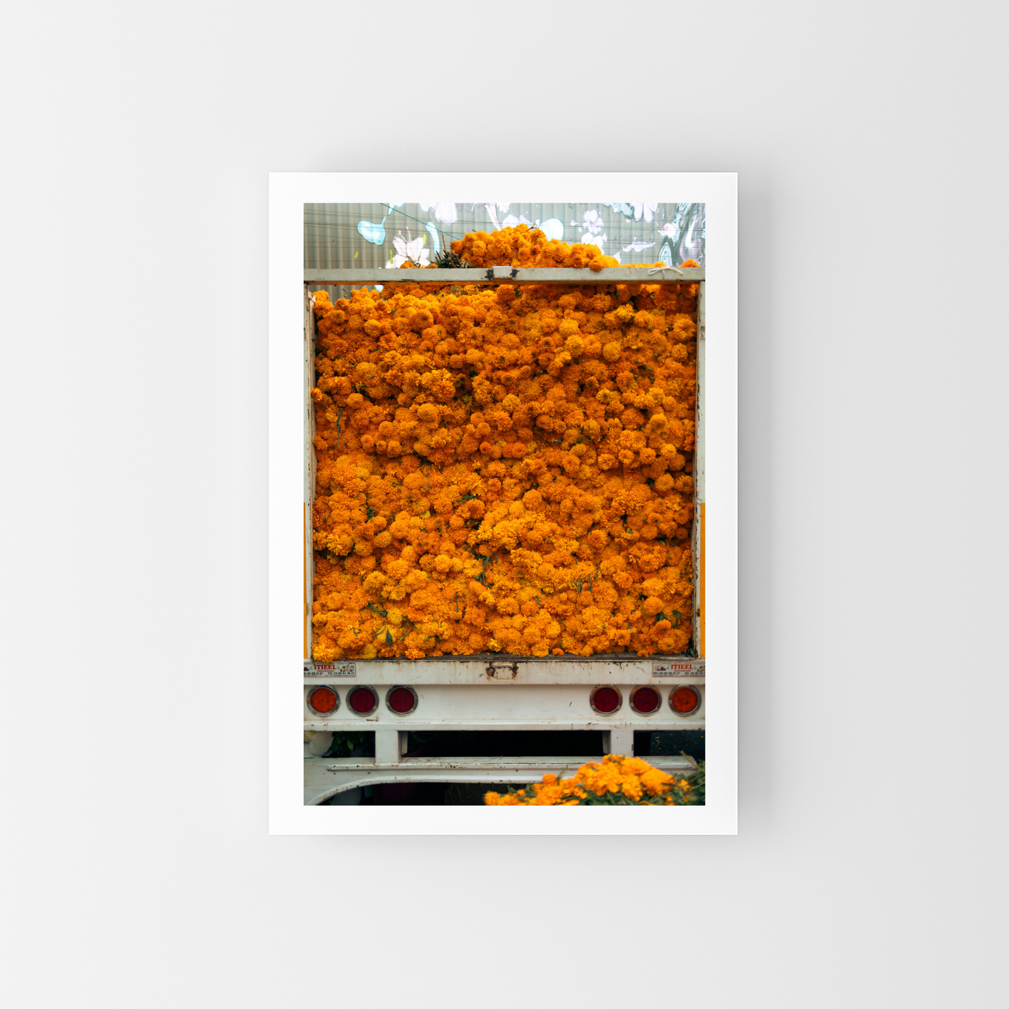 A truck of cempas��chil