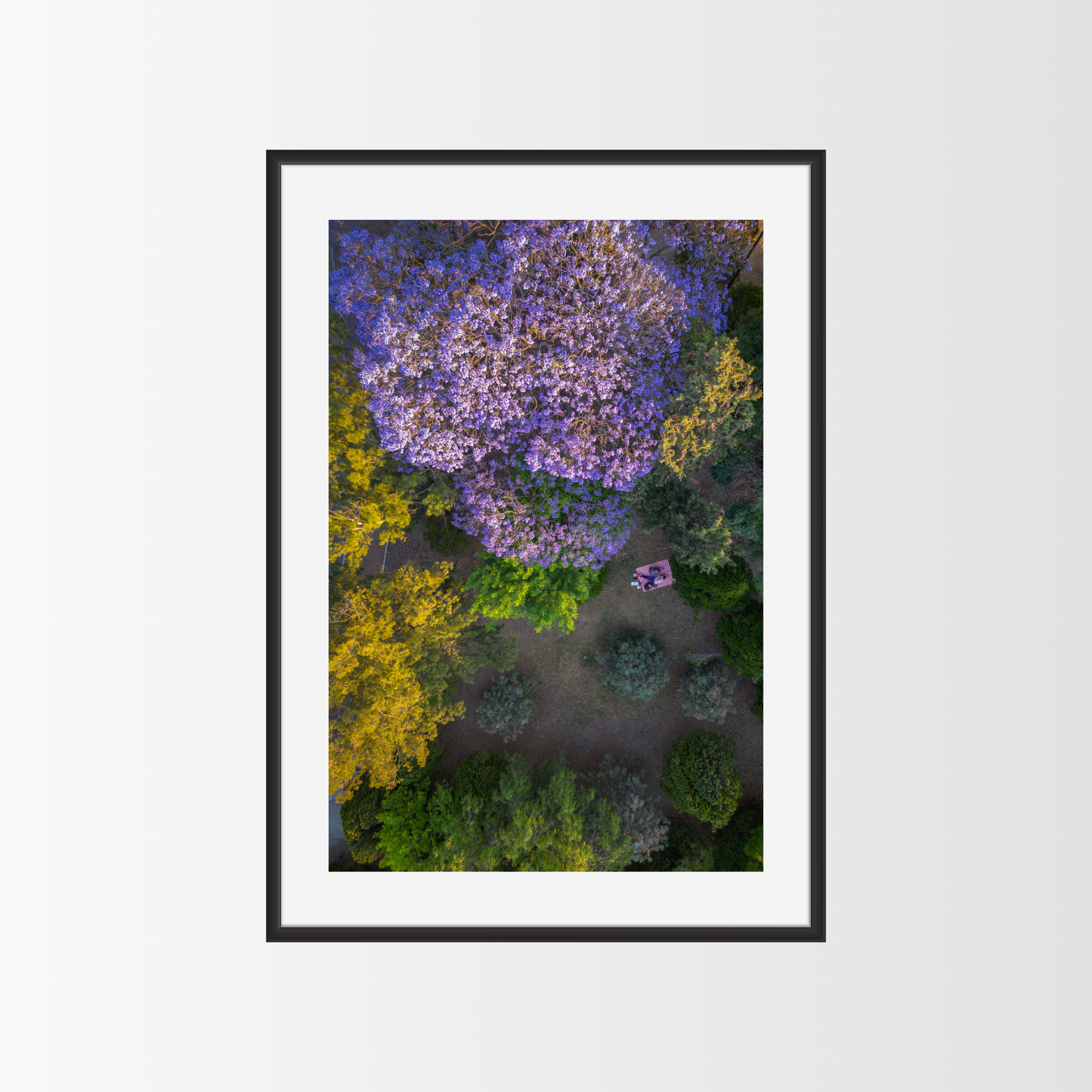 Picnic bajo las Jacarandas