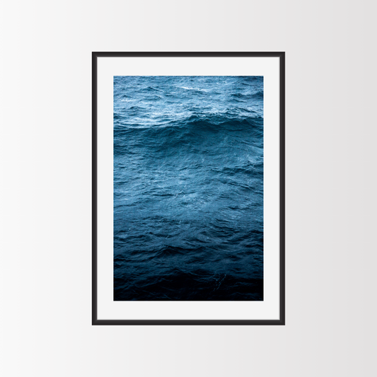 The Edge of the Arctic