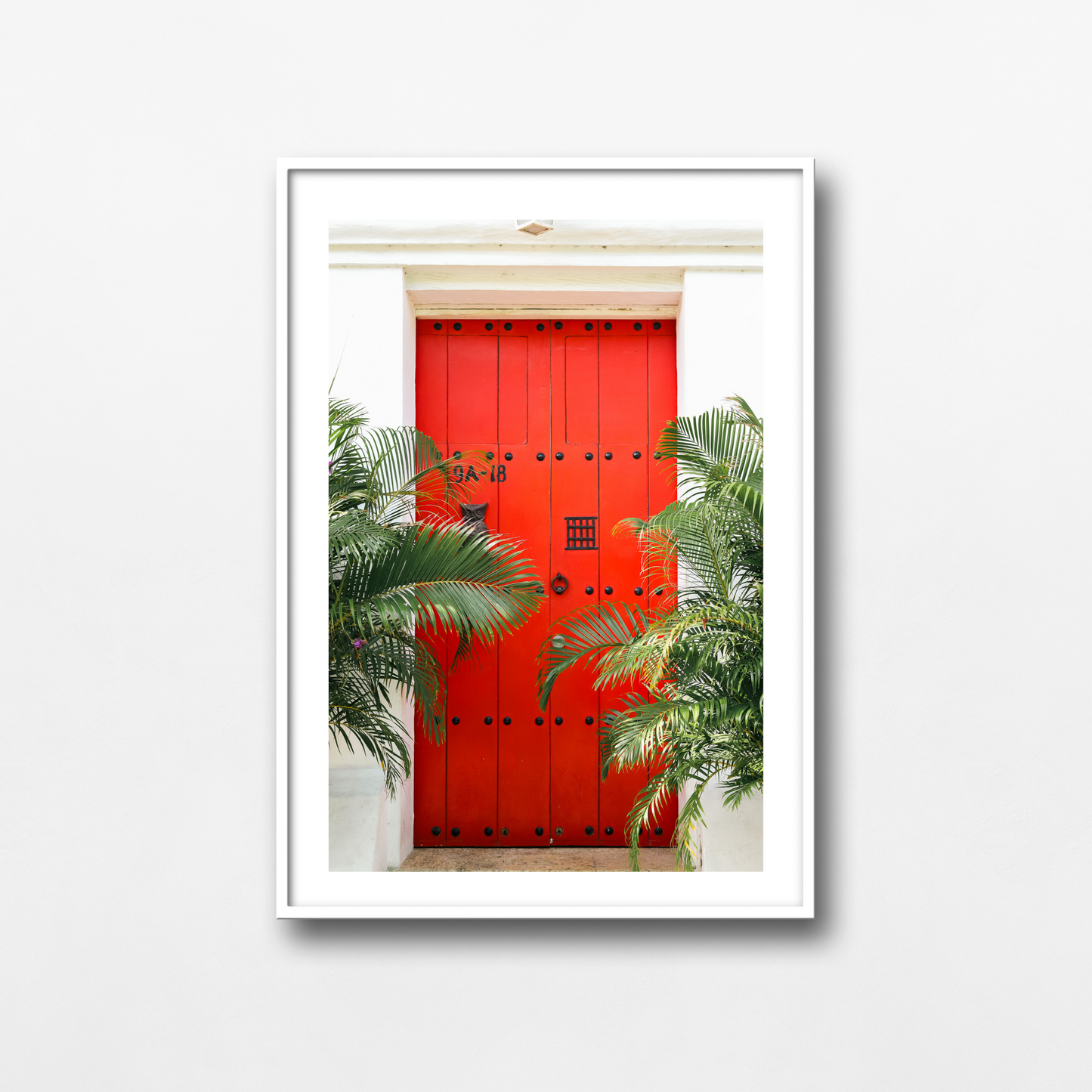 A tropical red door