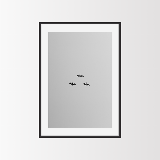 El trío sobre Bacalar