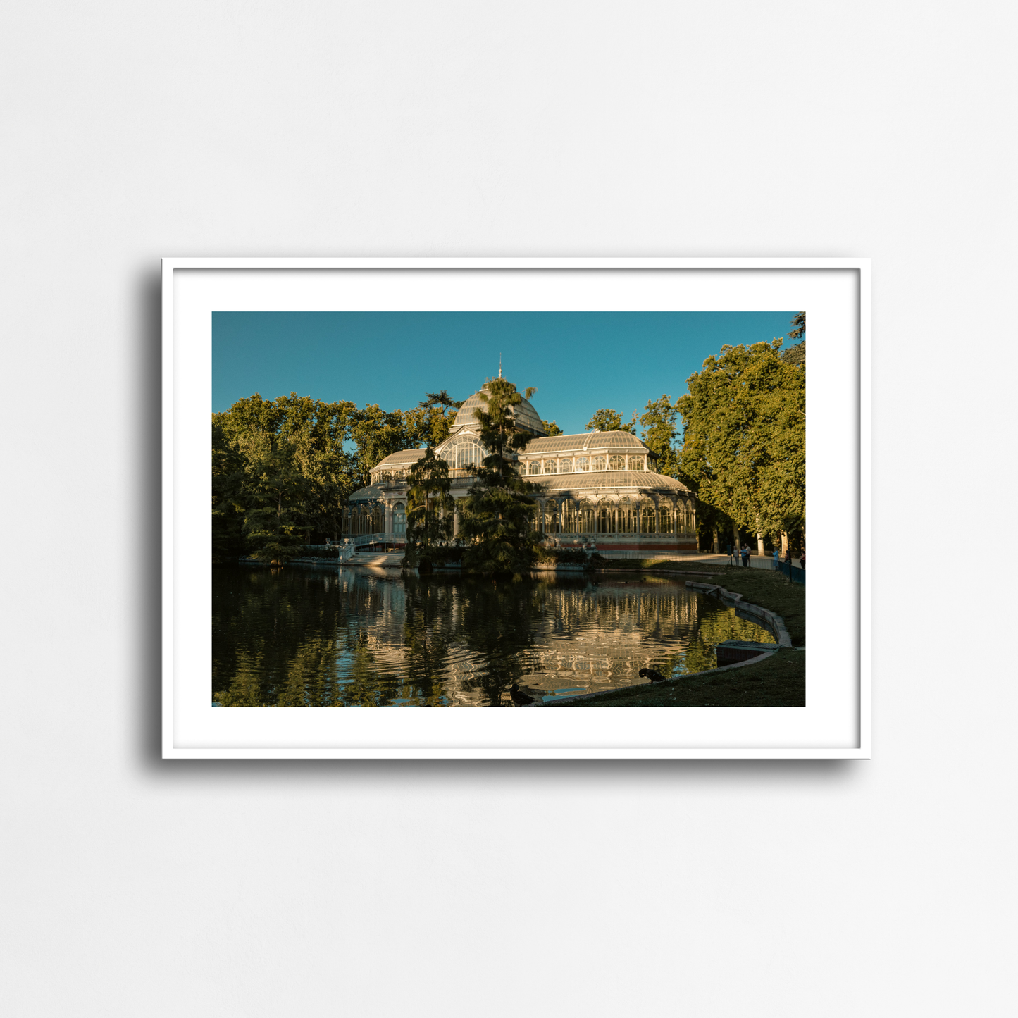 The light of the crystal palace