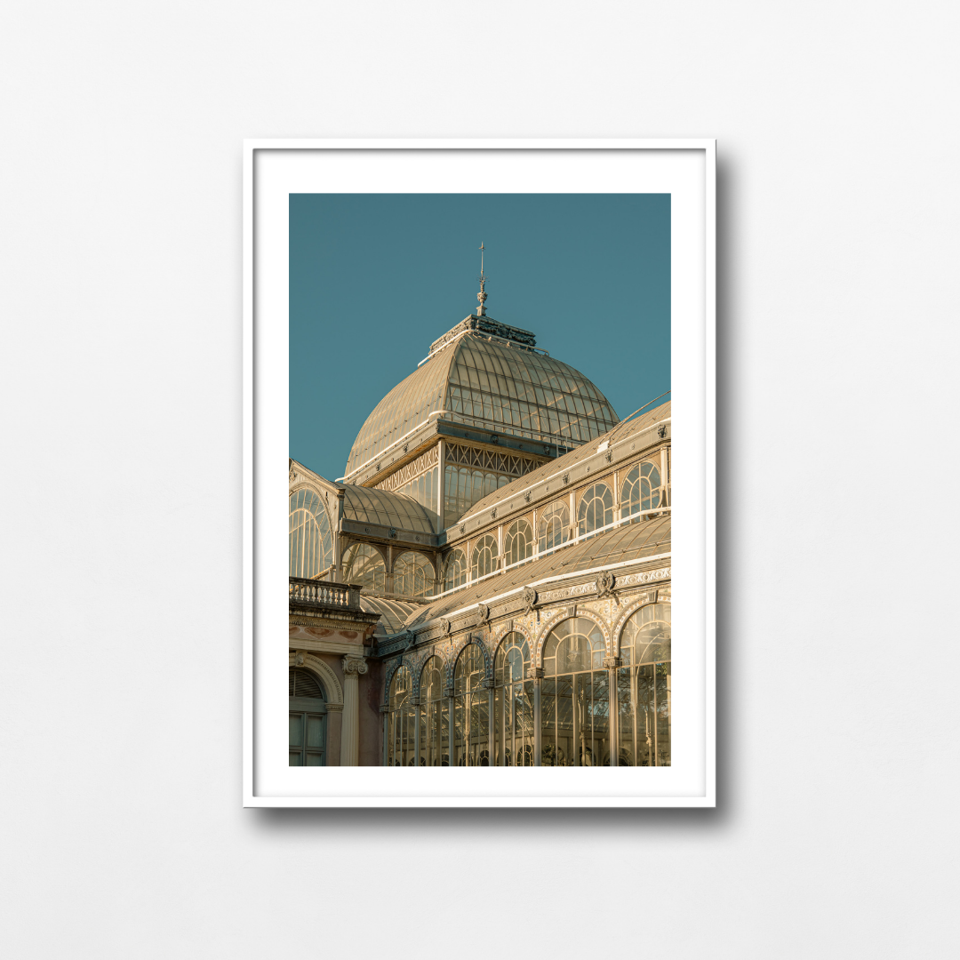 First Rays of Retiro