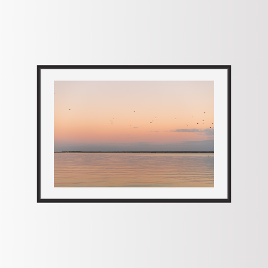 Blush Waters of Bacalar