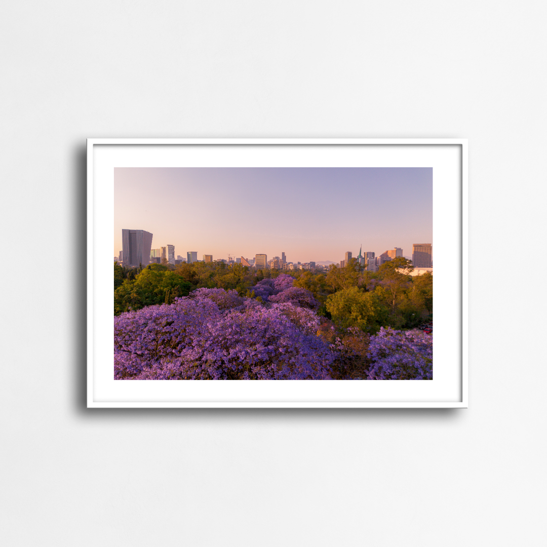 Las Jacaras de Polanco - Landscape