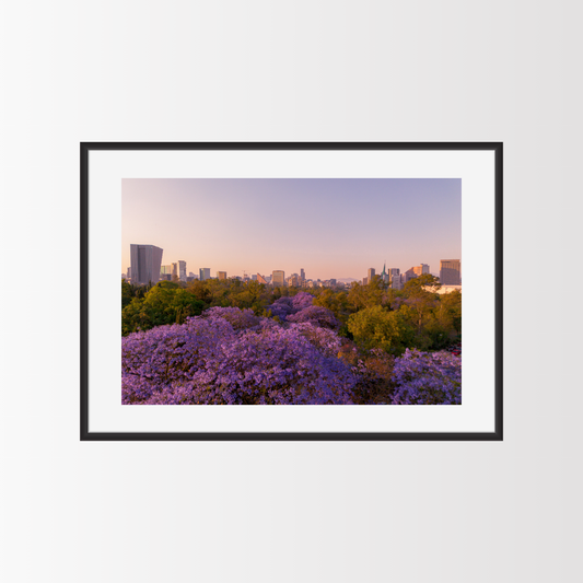 Las Jacaras de Polanco - Landscape