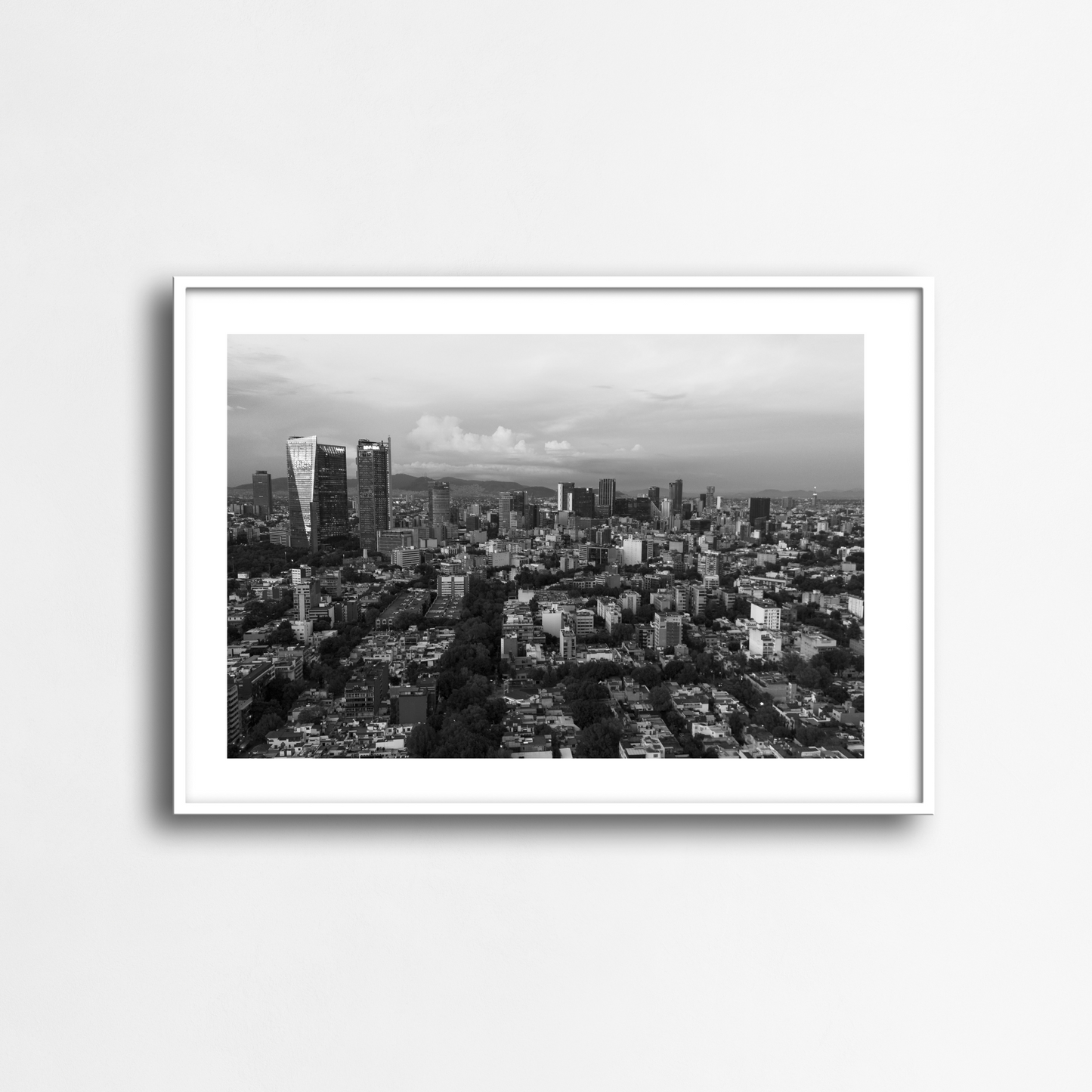 The black and white edition