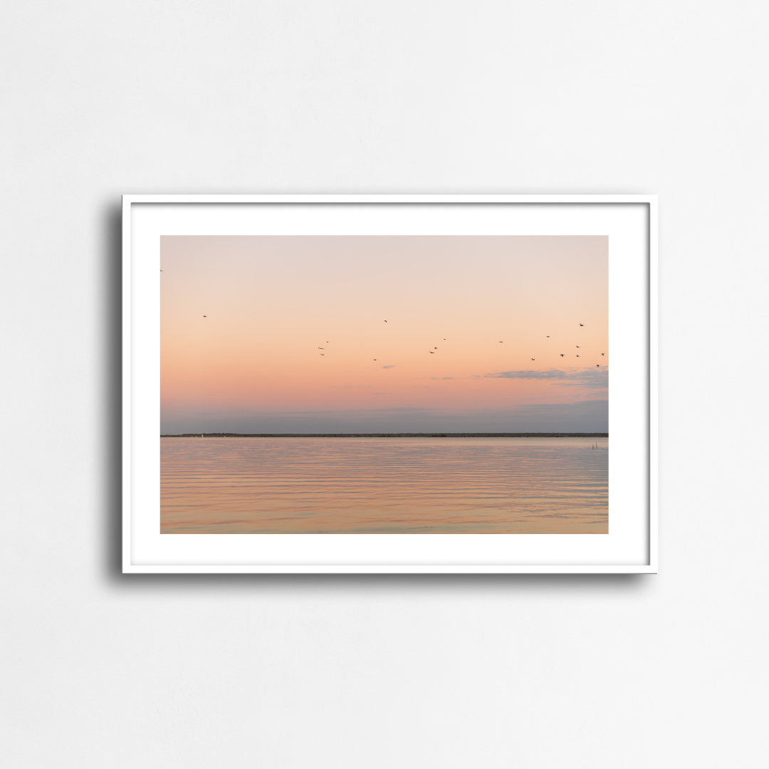 Blush Waters of Bacalar
