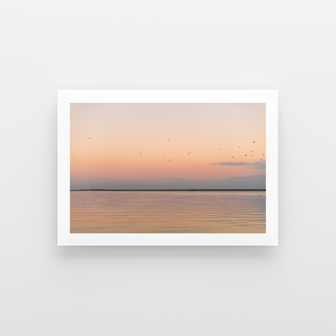 Blush Waters of Bacalar