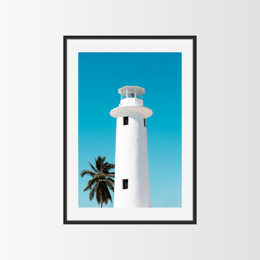 El faro y la palmera