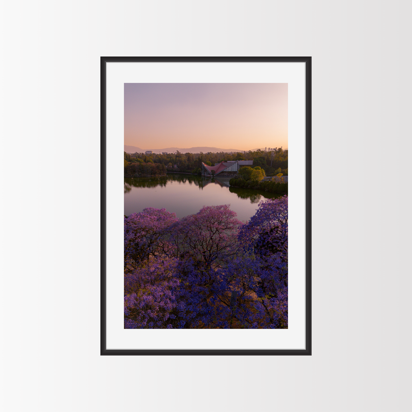 Jacarandas en el lago