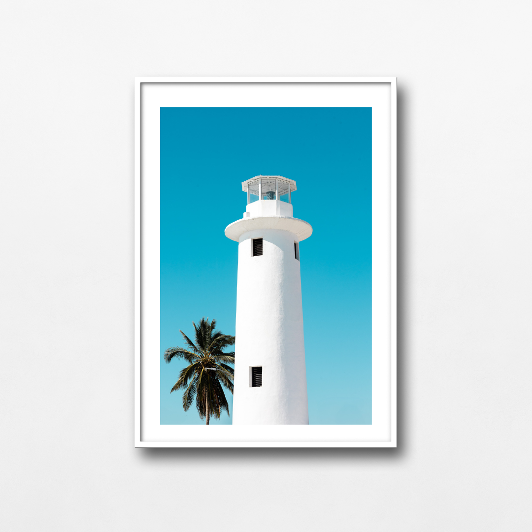 El faro y la palmera