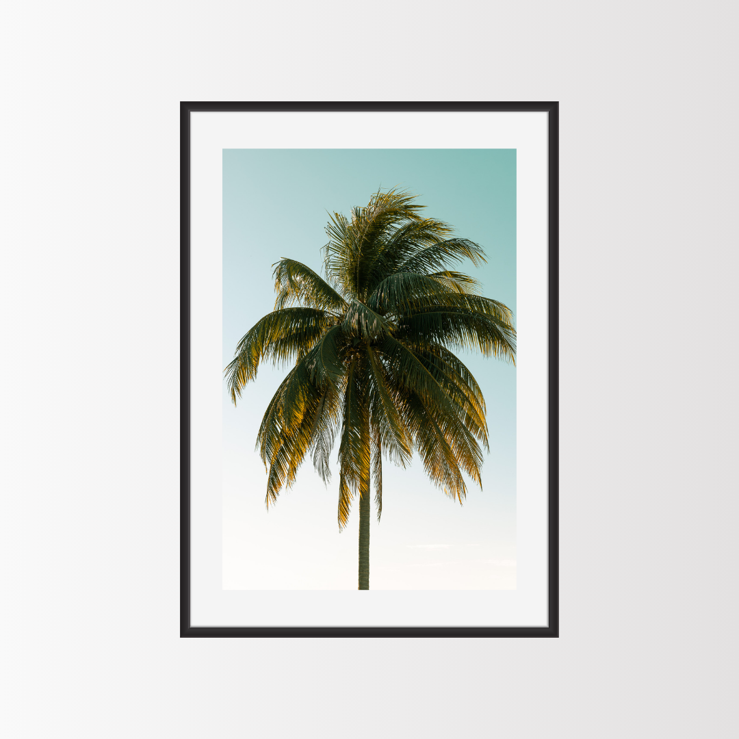 La mega palmera