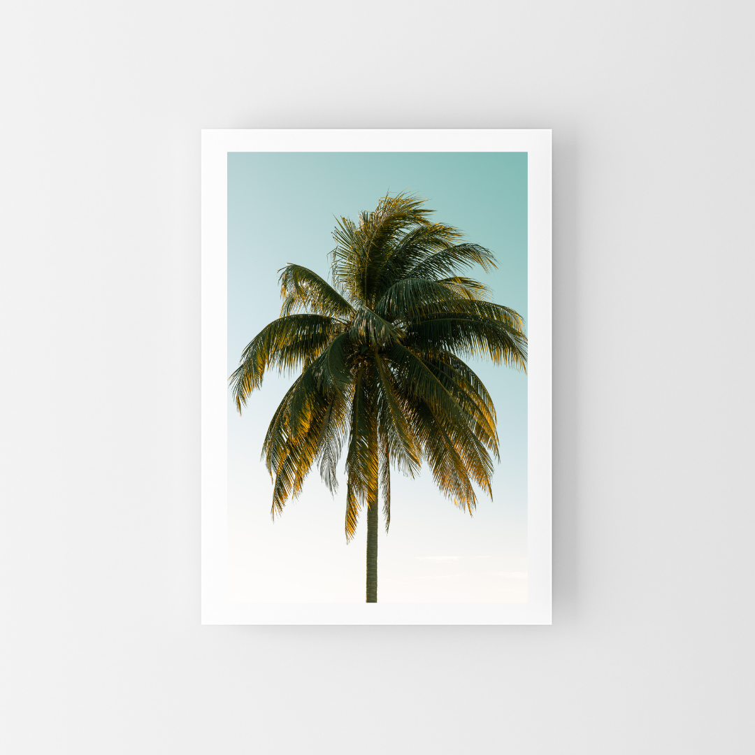 La mega palmera