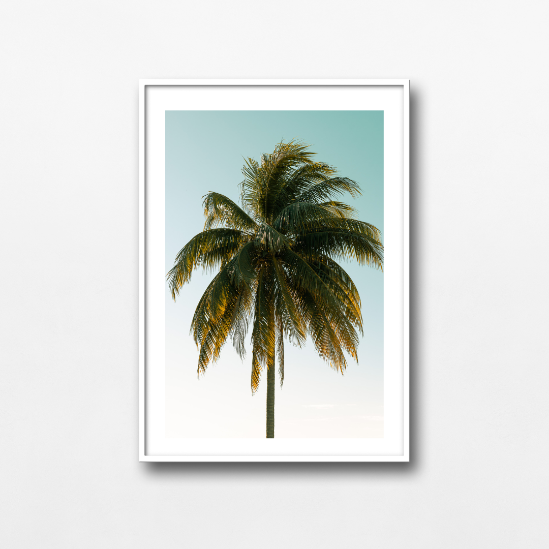 La mega palmera