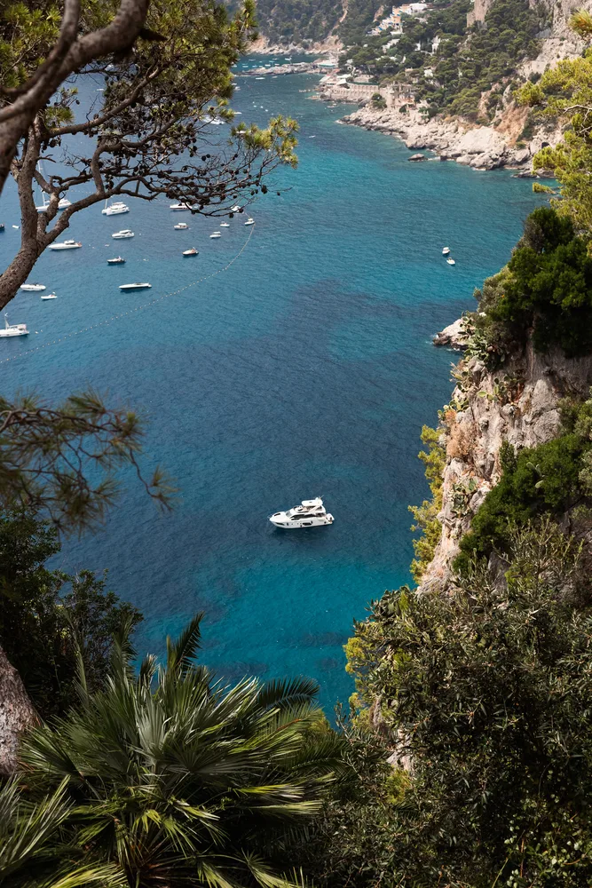 Hidden Boat