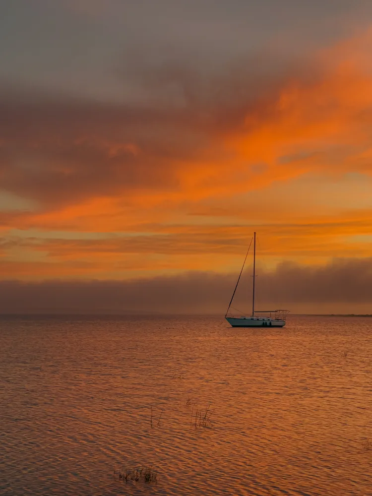 Still Waters