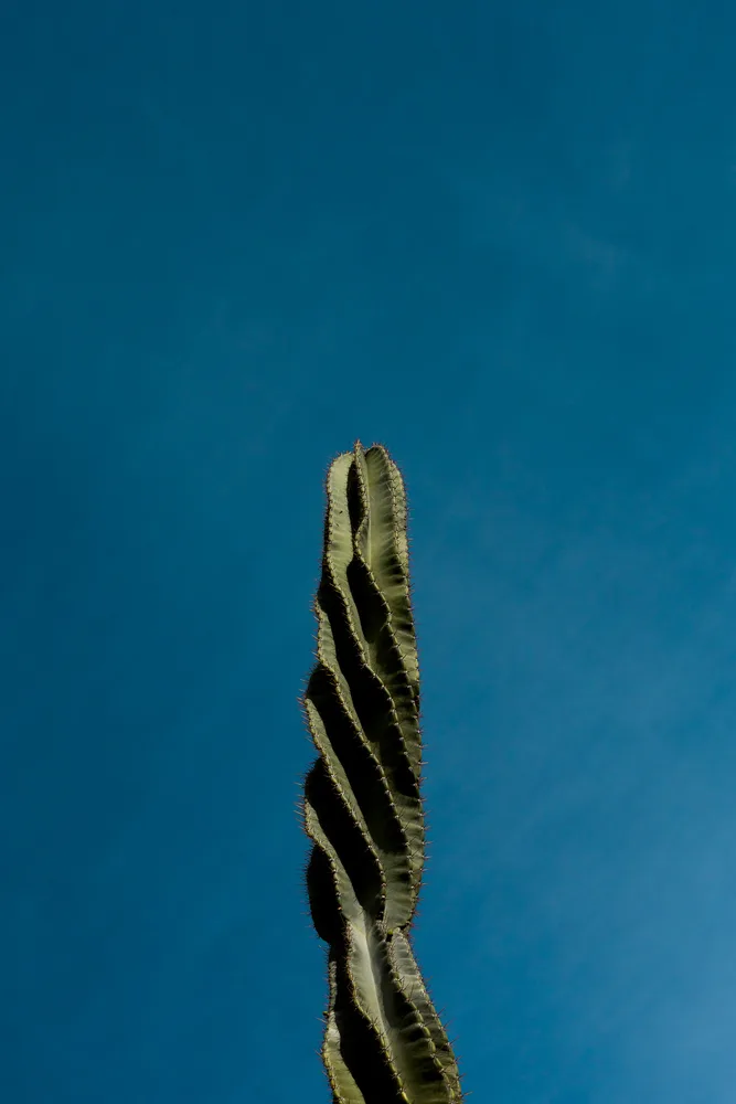 The Reach