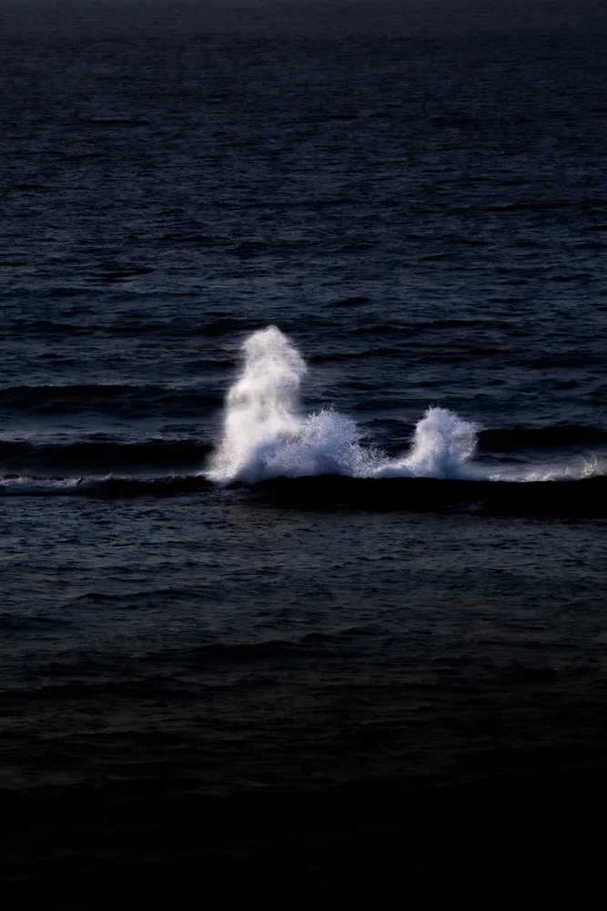 The Wild Wave