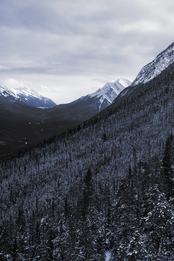 Winter View