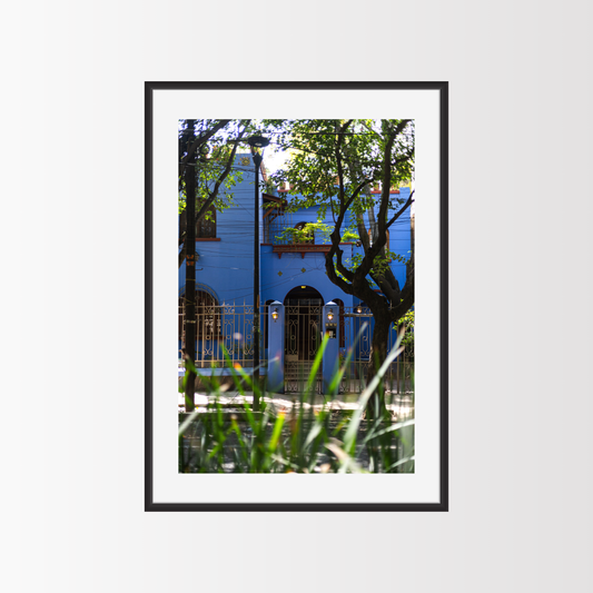 Blues of Condesa