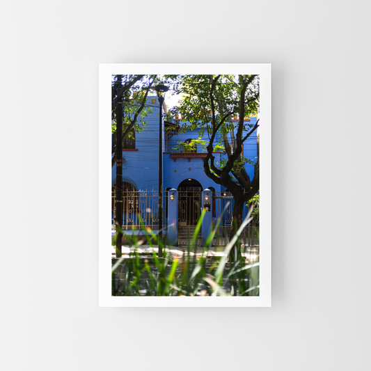 Blues of Condesa