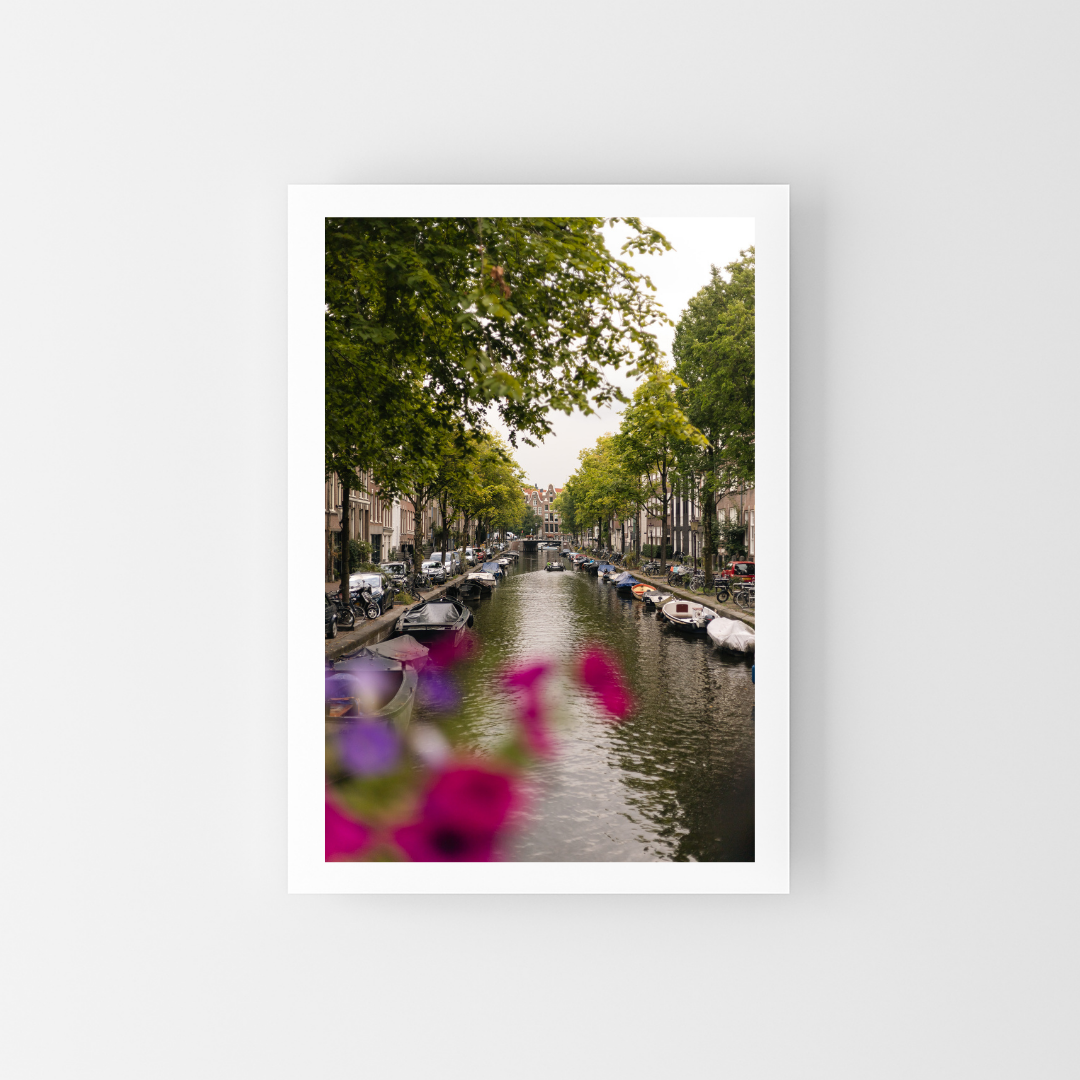 Reflections in Bloom