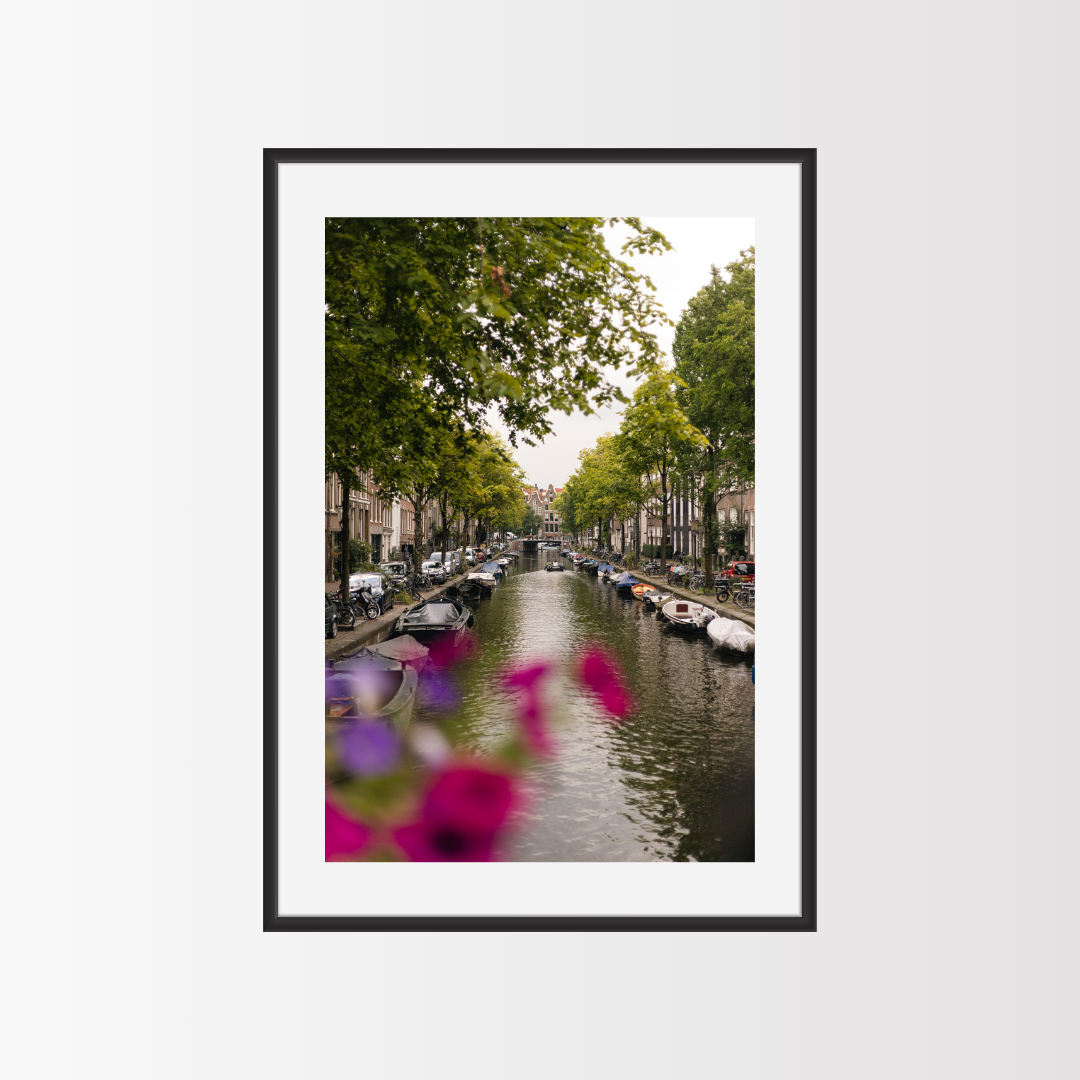 Reflections in Bloom