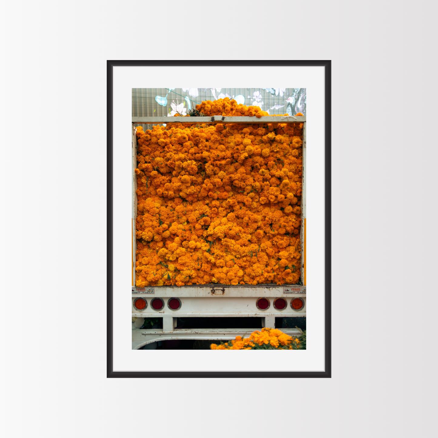 A truck of cempas��chil