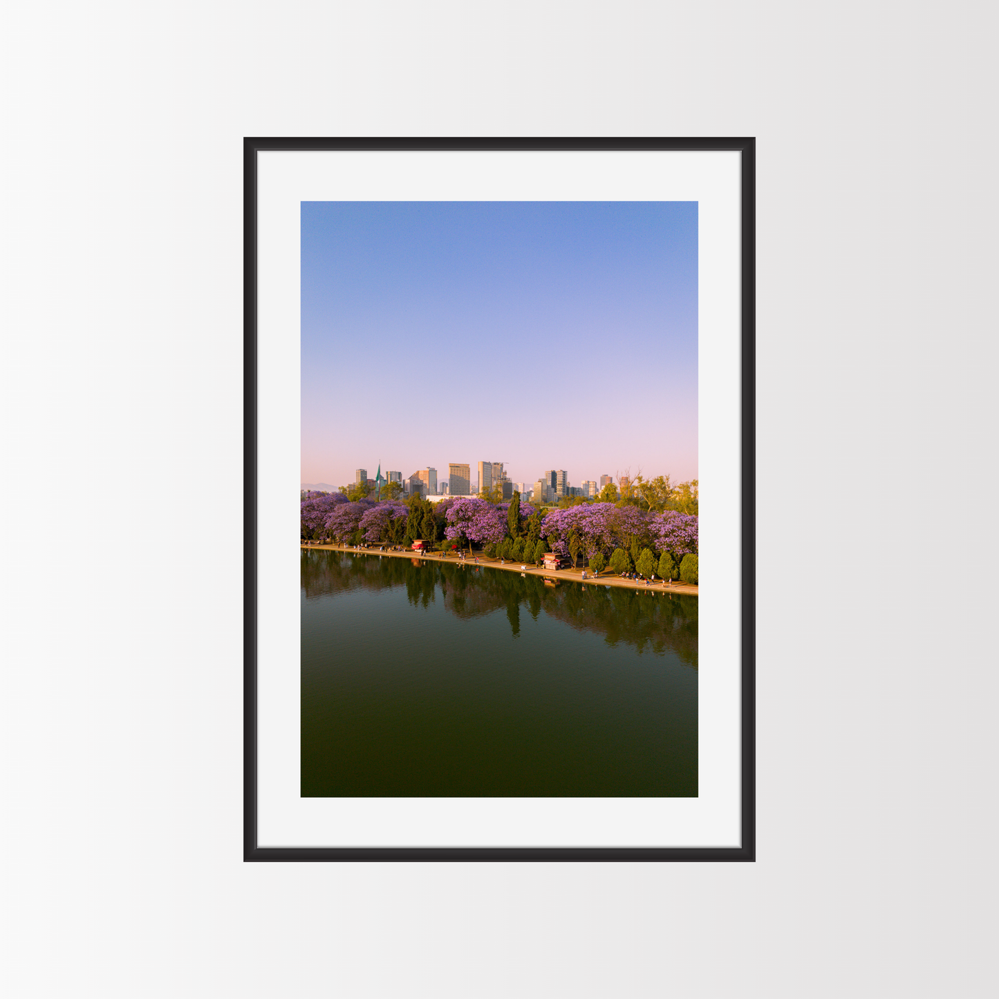 Jacarandas en el parque