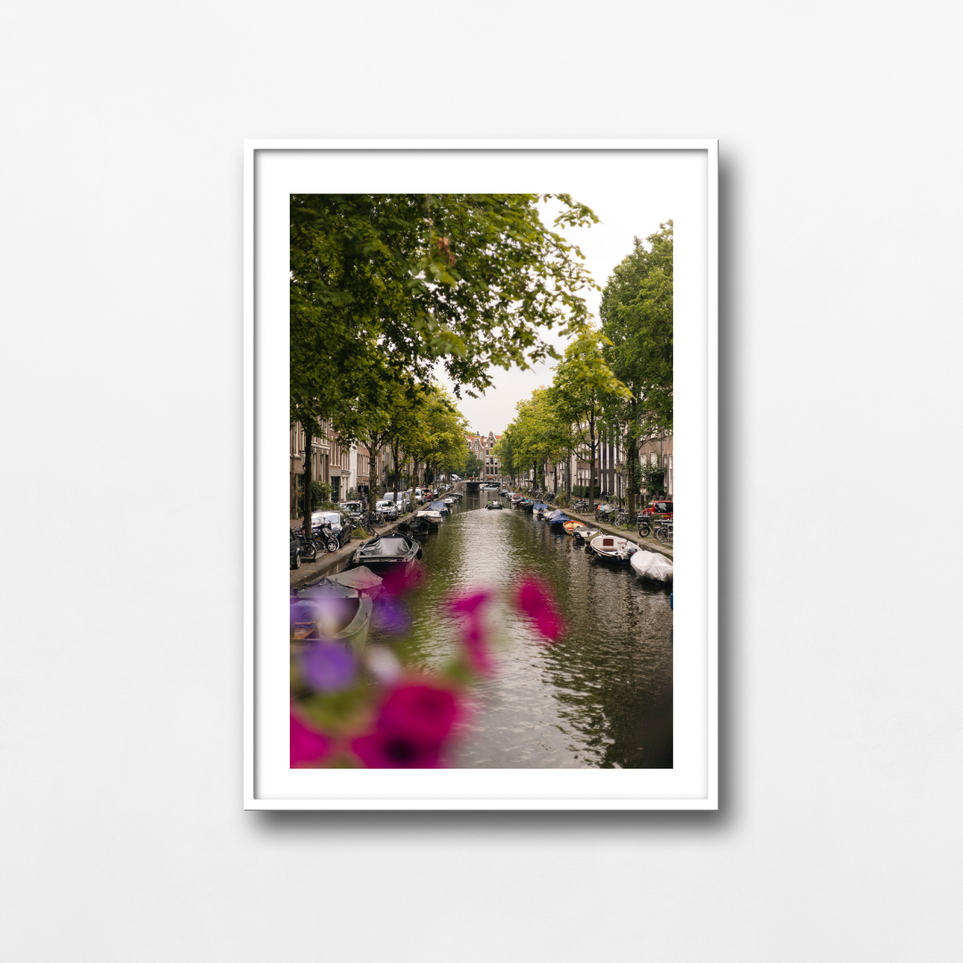 Reflections in Bloom