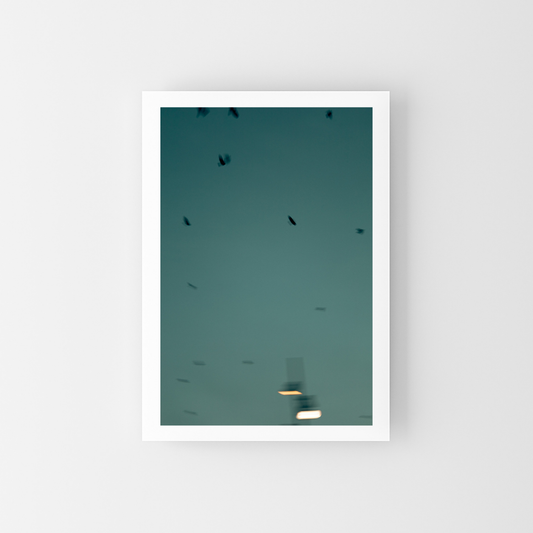 Flying Birds
