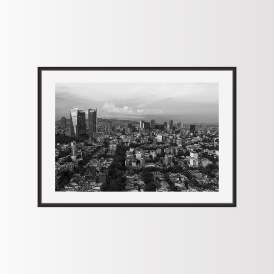 The black and white edition