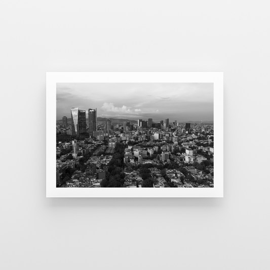 The black and white edition
