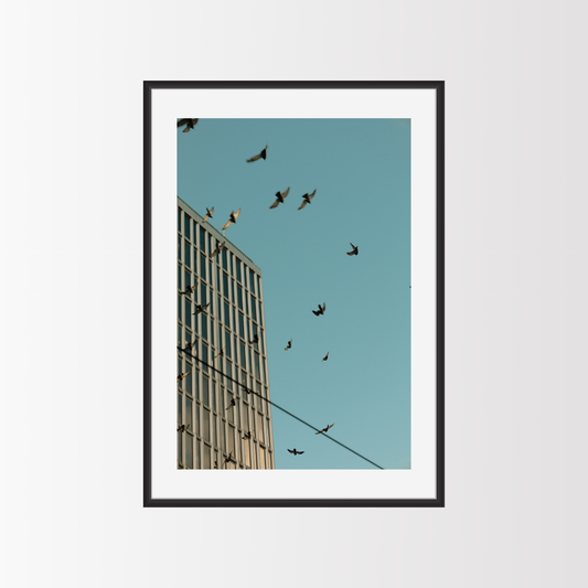 Golden Flight