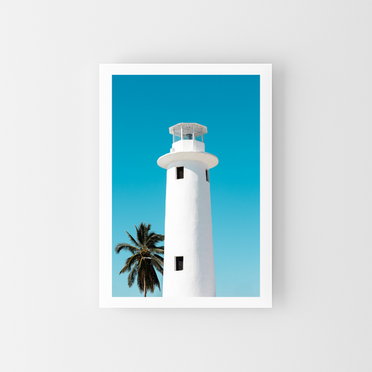 El faro y la palmera